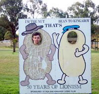 Kingaroy Lions Park - New Castle Tourism