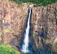Buujan Quiinbiira Walk Wet Tropics Great Walk - New Castle Tourism