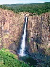 Buujan Quiinbiira Walk (Wet Tropics Great Walk) - New Castle Tourism 0
