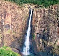 Gugigugi Butterfly Walk Wet Tropics Great Walk - New Castle Tourism