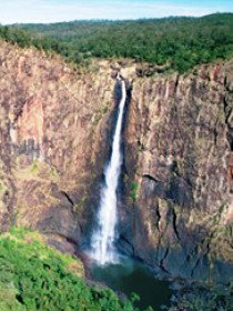 Gugigugi (Butterfly) Walk, Wet Tropics Great Walk - Newcastle Accommodation 0