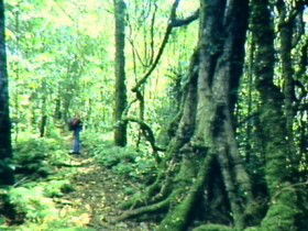 Kalbar QLD Newcastle Accommodation