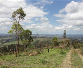 City View Camping And 4WD Park - Newcastle Accommodation 0