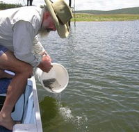 Eungella Dam - New Castle Tourism