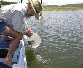 Eungella Dam - New Castle Tourism 0
