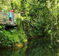 Djiru National Park - New Castle Tourism