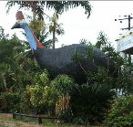 The Big Cassowary - New Castle Tourism