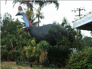 The Big Cassowary - New Castle Tourism 0
