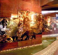 Riversleigh Fossil Centre - Newcastle Accommodation