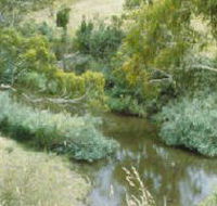 Yarrambat Park - New Castle Tourism
