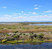 Point Cook Coastal Park - New Castle Tourism