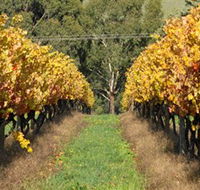 Wild Dog Winery  Restaurant - Newcastle Accommodation