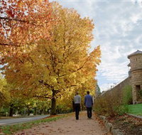 Indigo Gold Trail - Newcastle Accommodation