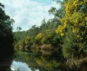 North Warrandyte VIC New Castle Tourism