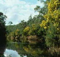 Warrandyte State Park - New Castle Tourism