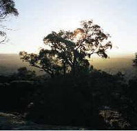 Yarra Flats - New Castle Tourism