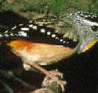 Reef Hills State Park - Newcastle Accommodation