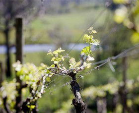 Booth's Taminick Cellars - New Castle Tourism 0