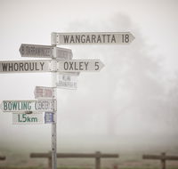 Brown Brothers Milawa Vineyard - New Castle Tourism