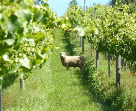 Passing Clouds - New Castle Tourism 0