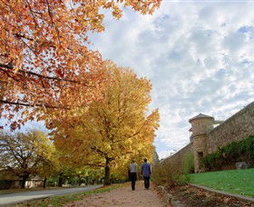 Beechworth Historic And Cultural Precinct - Newcastle Accommodation 0