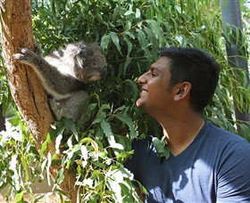 Healesville Sanctuary - New Castle Tourism 0