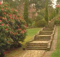 Maroondah Reservoir Park - New Castle Tourism