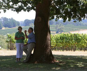 Five Oaks Vineyard - New Castle Tourism 0