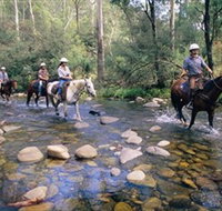 Howqua Hills Historic Area - Newcastle Accommodation