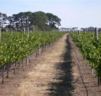 Mount Beckworth Wines - Newcastle Accommodation
