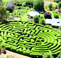 Wandiligong Maze