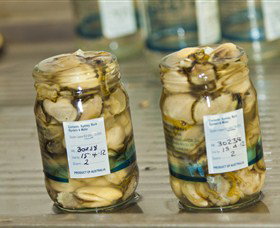 Broadwater Oysters - Newcastle Accommodation 0