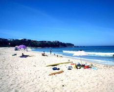 Book Bawley Point NSW Attractions Newcastle Accommodation Newcastle Accommodation