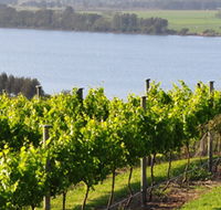 Two Figs Winery - New Castle Tourism