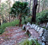 Wodi Wodi Walking Track - Newcastle Accommodation