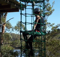 Trees Adventure Shoalhaven - New Castle Tourism