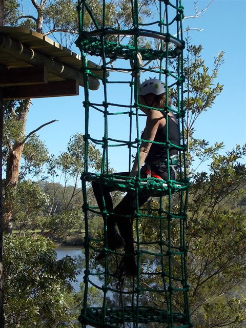 Trees Adventure Shoalhaven - New Castle Tourism 0