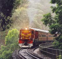 Cockatoo Run - Scenic Tour Train operated by 3801 Limited - New Castle Tourism