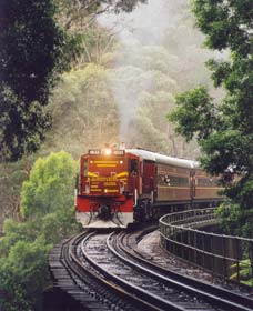 Cockatoo Run - Scenic Tour Train Operated By 3801 Limited - Newcastle Accommodation 0