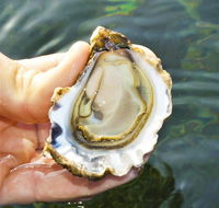 The Oyster Pot - New Castle Tourism