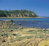 Aslings Beach - New Castle Tourism