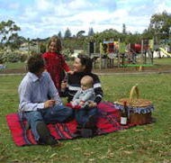 Blackbutt Forest Reserve - Newcastle Accommodation