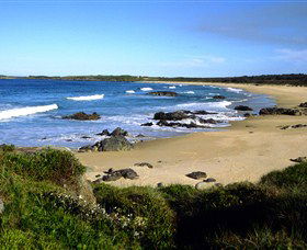 Eurobodalla National Park - New Castle Tourism 0