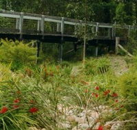 Eurobodalla Botanic Gardens - New Castle Tourism