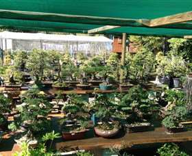 Bonsai At The Bay - Newcastle Accommodation 0