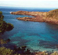 Bass Point Reserve - Newcastle Accommodation