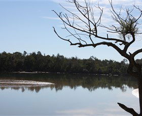 North Coast Holiday Parks Boambee Creek Reserve - New Castle Tourism 0