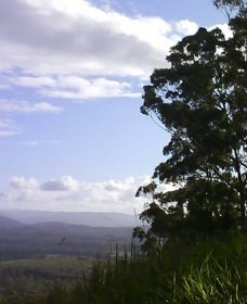 Sherwood Nature Reserve - Newcastle Accommodation 0