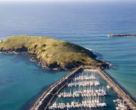 Muttonbird Island Nature Reserve - New Castle Tourism 0