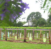 Douglas Vale Historic Homestead  Vineyard - New Castle Tourism